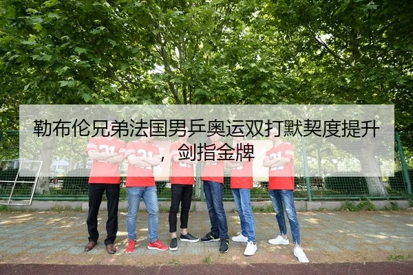 勒布伦兄弟法国男乒奥运双打默契度提升，剑指金牌