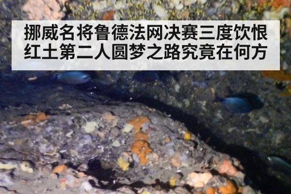 挪威名将鲁德法网决赛三度饮恨 红土第二人圆梦之路究竟在何方